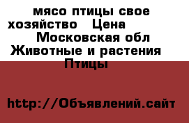 мясо птицы-свое хозяйство › Цена ­ 350-400 - Московская обл. Животные и растения » Птицы   